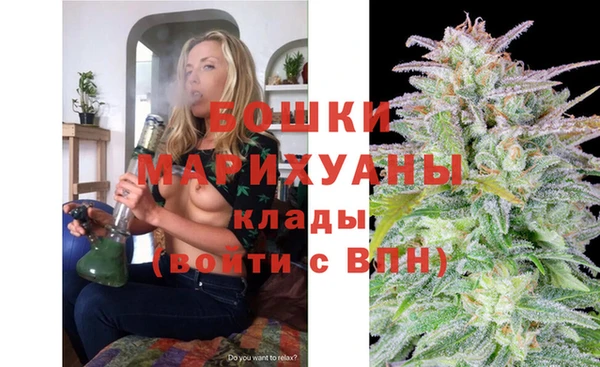 гидра Магас