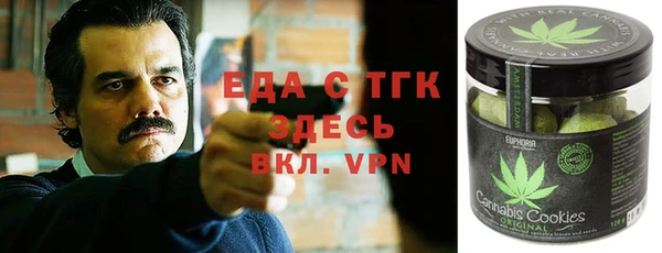 гидра Магас