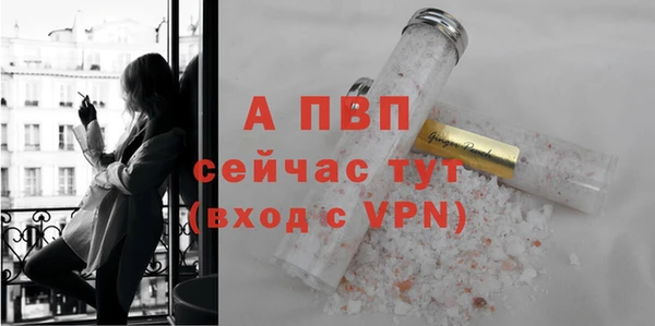гидра Магас