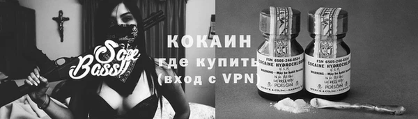 гидра Магас