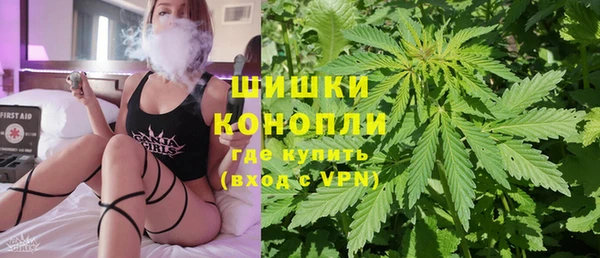 гидра Магас