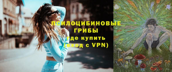 гидра Магас