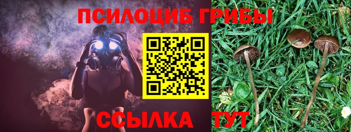 Псилоцибиновые грибы прущие грибы  продажа наркотиков  Тутаев  Псилоцибиновые грибы GOLDEN TEACHER  Вход с VPN 