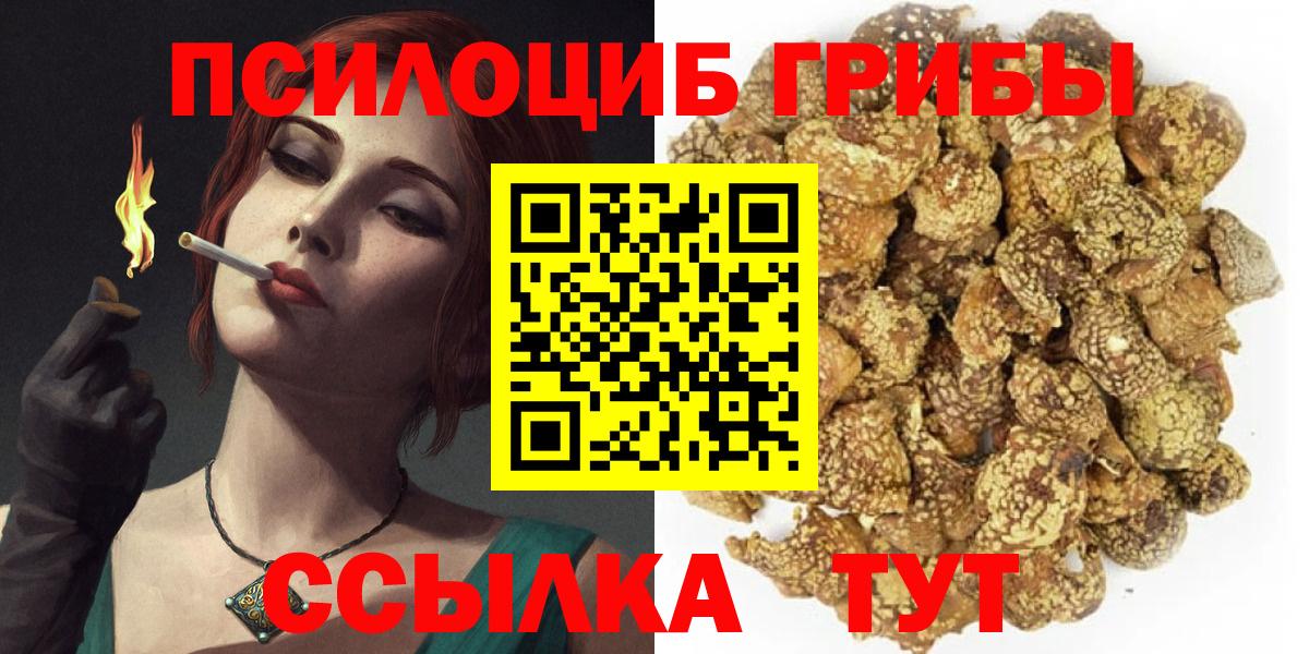 Галлюциногенные грибы GOLDEN TEACHER Тутаев